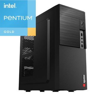 Pc Armada Pentium Gold G6400 8Gb Ram 256 GB SSD Windows 11 + Mouse y Teclado de Regalo